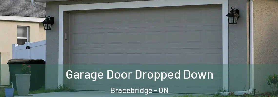  Garage Door Dropped Down Bracebridge - ON