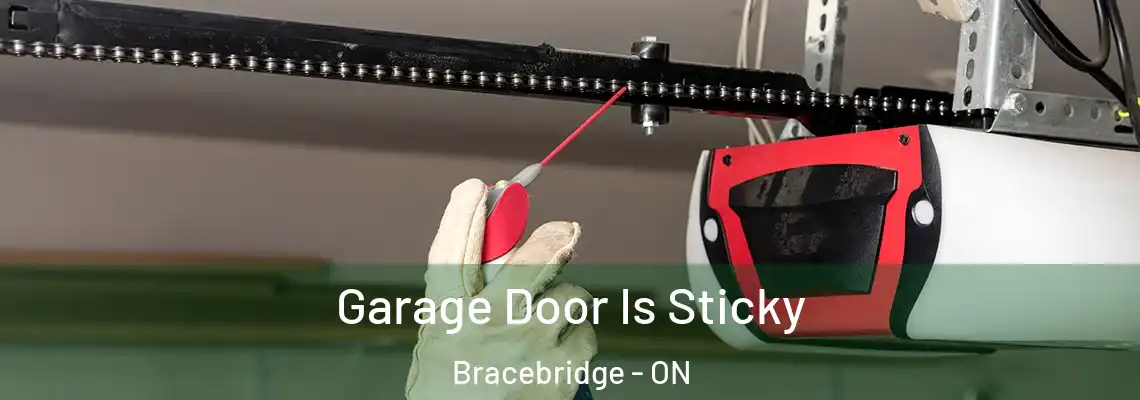  Garage Door Is Sticky Bracebridge - ON