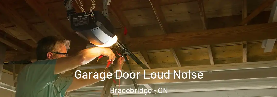 Garage Door Loud Noise Bracebridge - ON