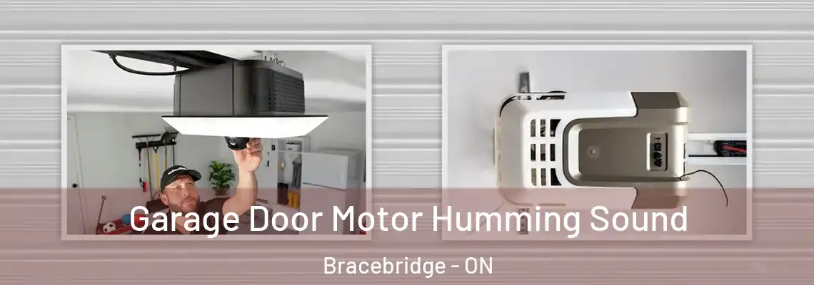 Garage Door Motor Humming Sound Bracebridge - ON