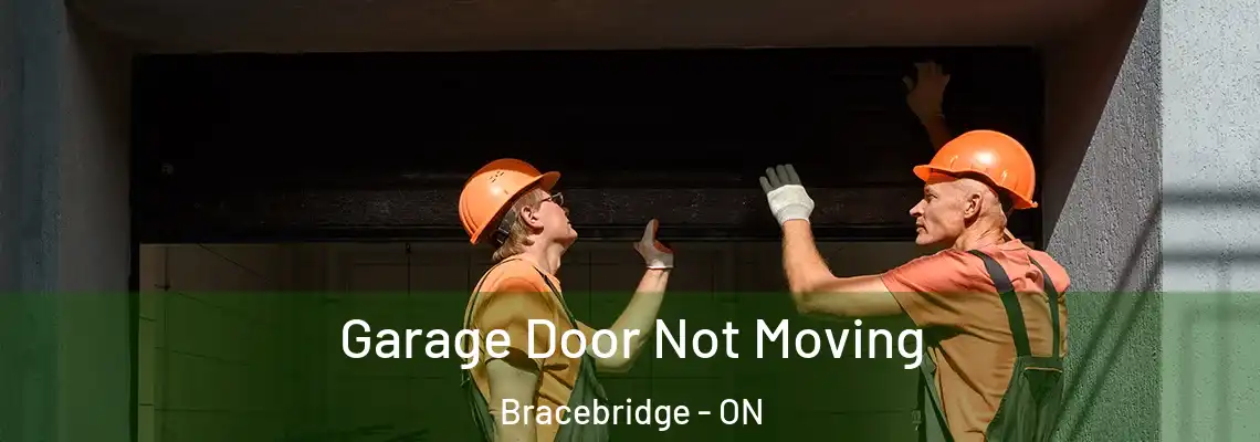  Garage Door Not Moving Bracebridge - ON