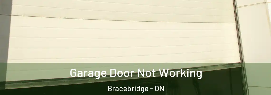  Garage Door Not Working Bracebridge - ON
