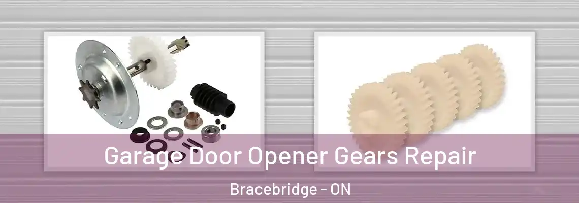  Garage Door Opener Gears Repair Bracebridge - ON