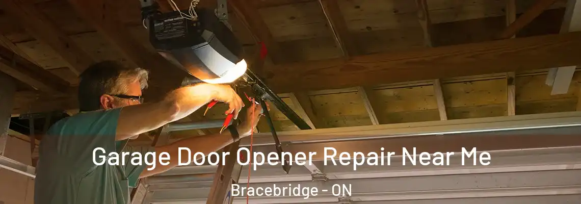  Garage Door Opener Repair Near Me Bracebridge - ON