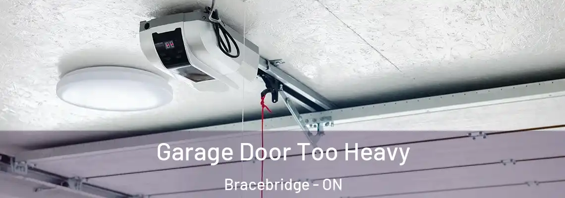  Garage Door Too Heavy Bracebridge - ON