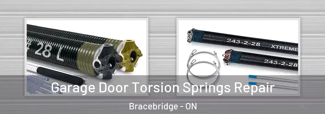  Garage Door Torsion Springs Repair Bracebridge - ON