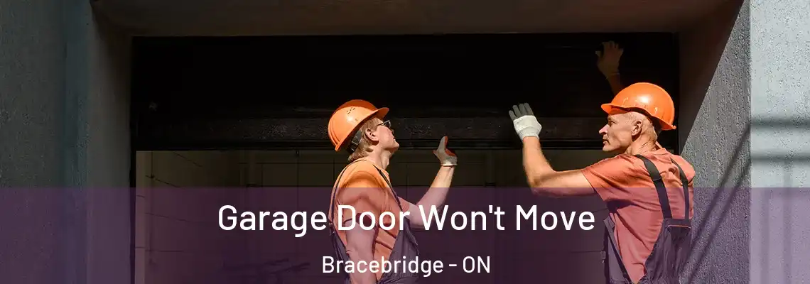 Garage Door Won't Move Bracebridge - ON
