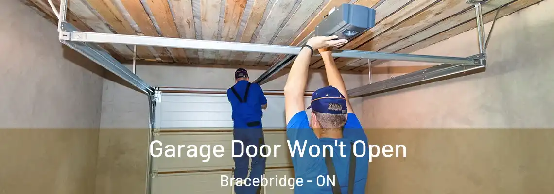  Garage Door Won't Open Bracebridge - ON