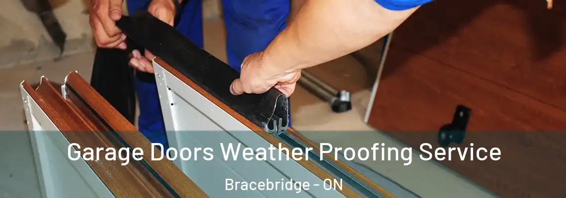  Garage Doors Weather Proofing Service Bracebridge - ON