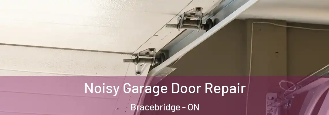  Noisy Garage Door Repair Bracebridge - ON