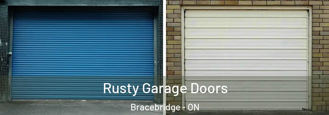  Rusty Garage Doors Bracebridge - ON